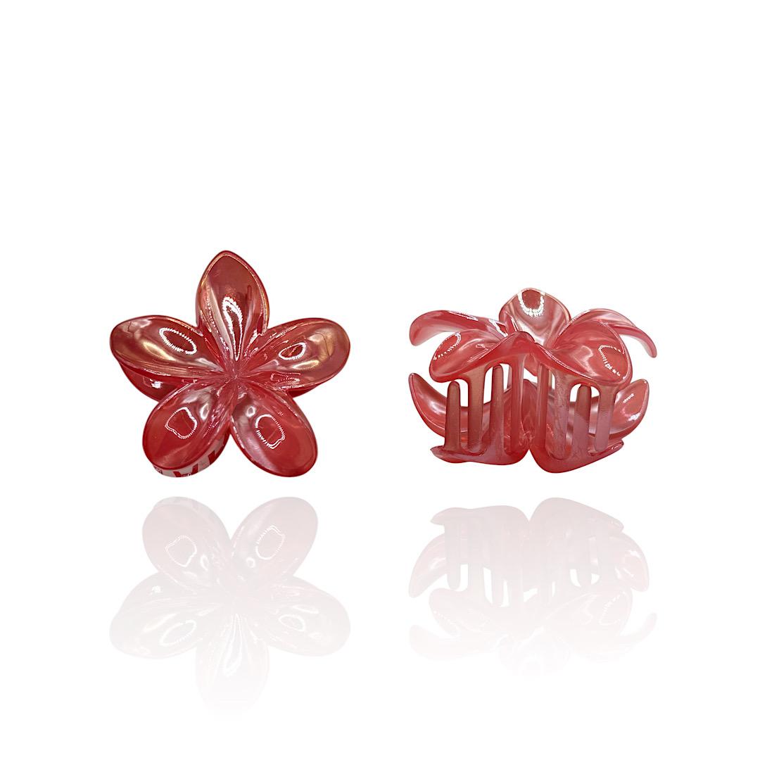 Pinza Fiore Boreale