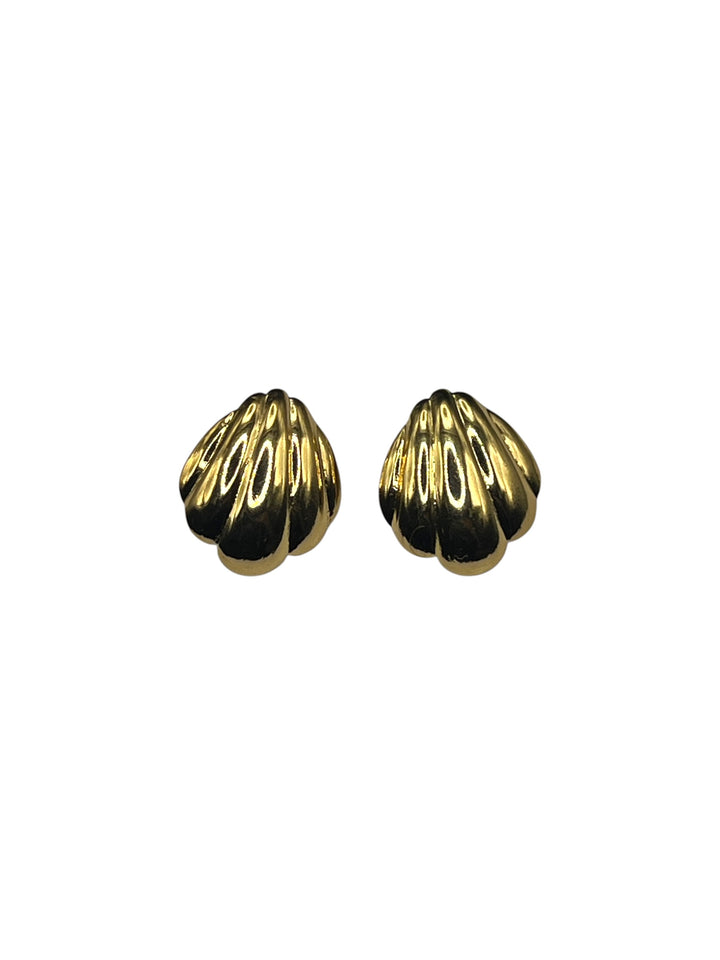 Orecchini Conchiglia