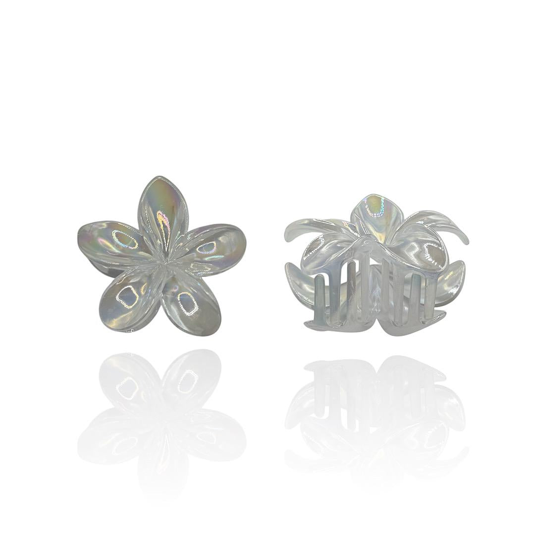 Pinza Fiore Boreale