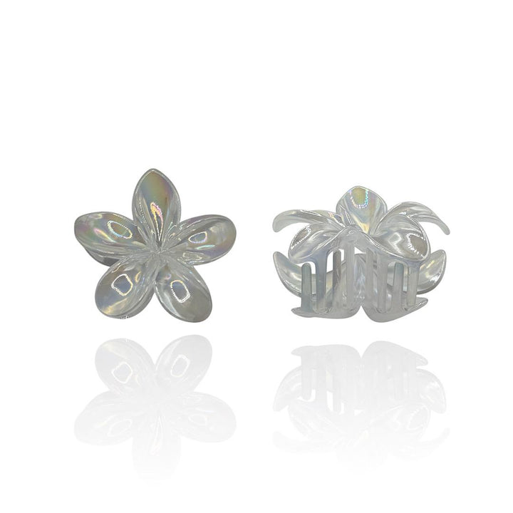 Pinza Fiore Boreale