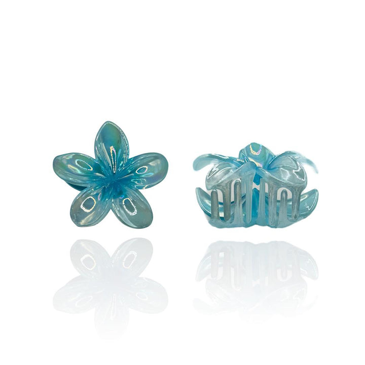 Pinza Fiore Boreale