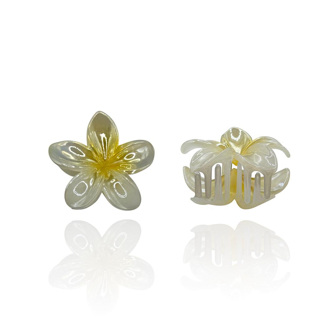 Pinza Fiore Boreale